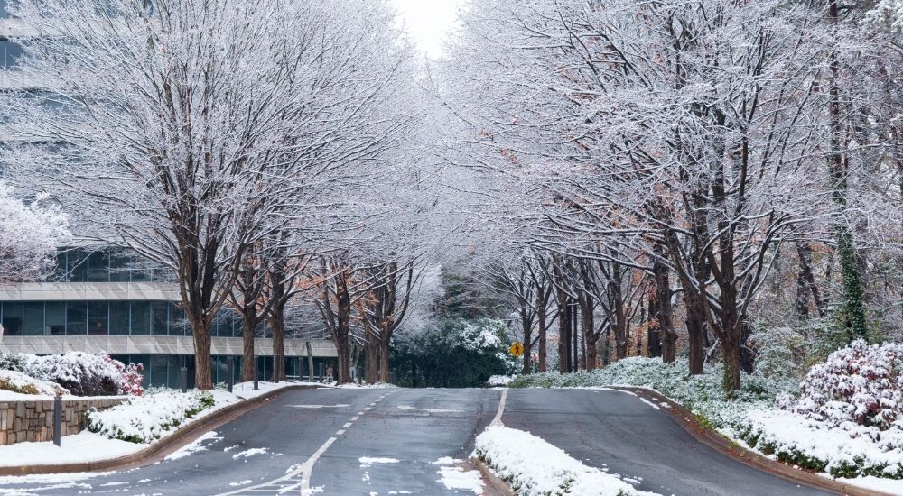 el invierno, la mejor época para visitar Atlanta